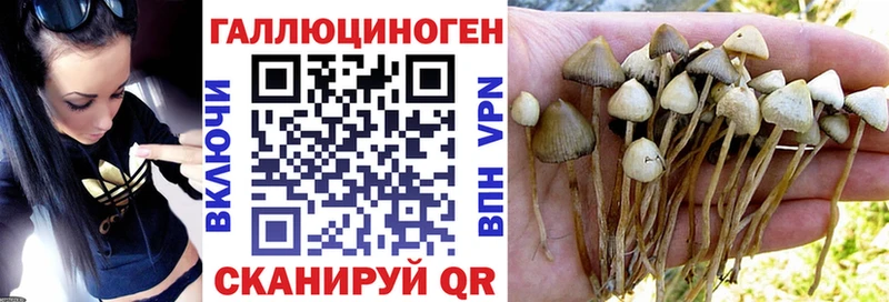 Галлюциногенные грибы мухоморы  Светогорск 